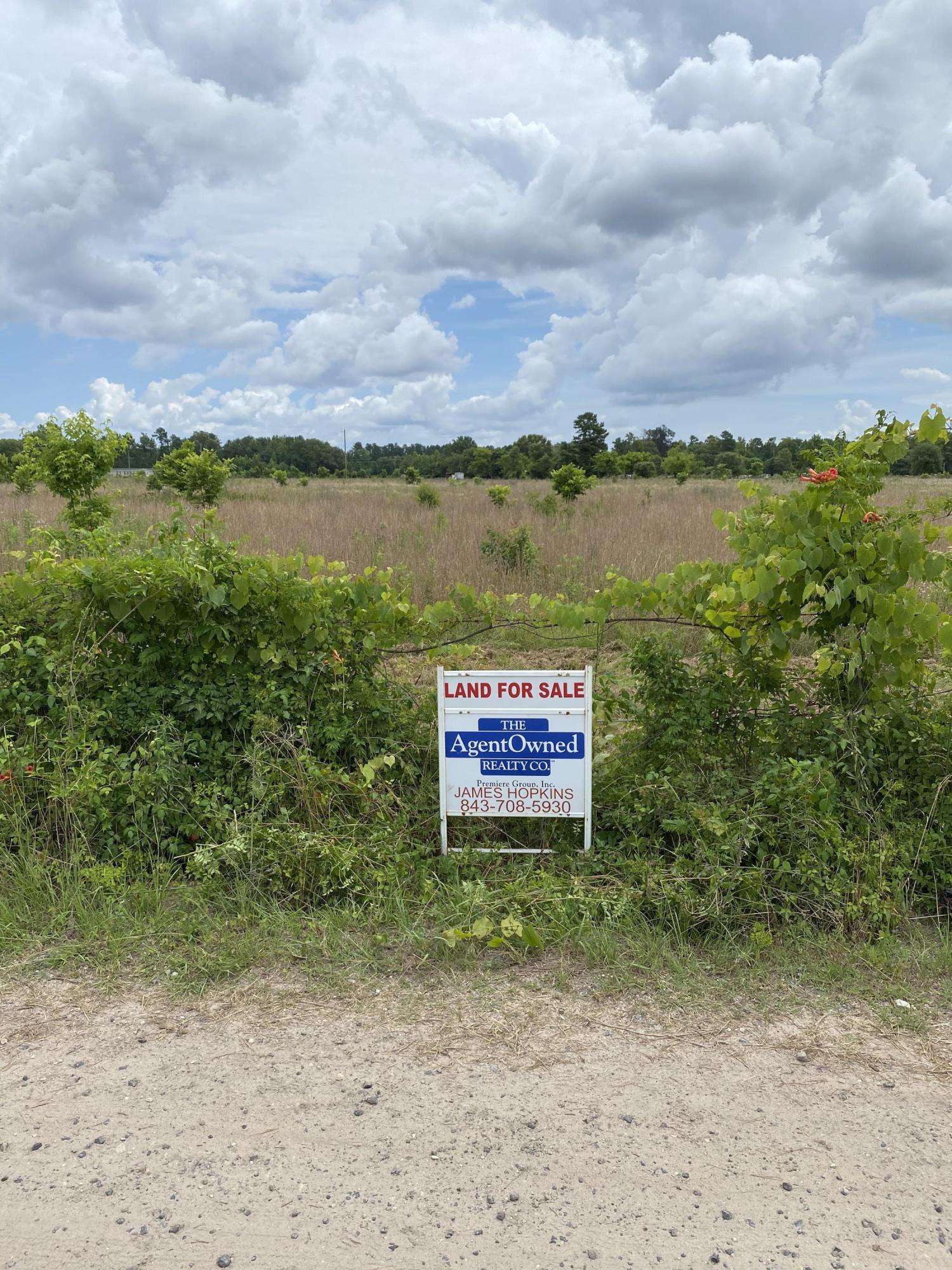 131 Checkerberry Road Cross, SC 29436 - Photo 5 of 7 IMG_3076