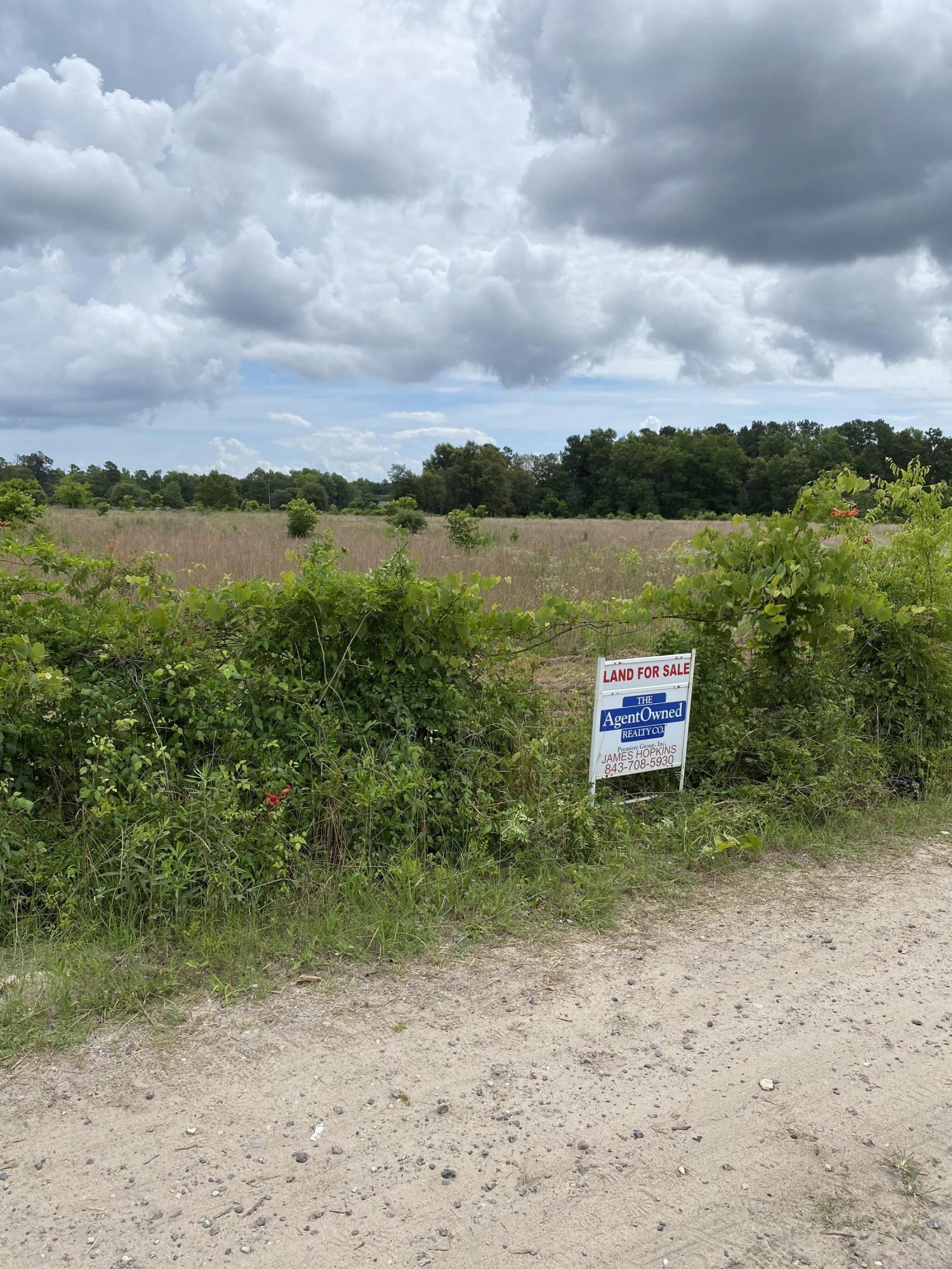 131 Checkerberry Road Cross, SC 29436 - Photo 6 of 7 IMG_3078