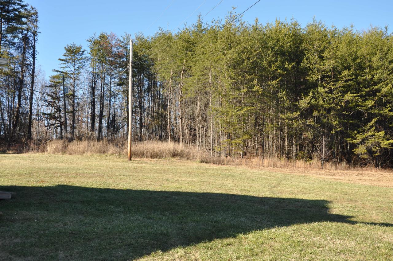 2875 Doe Run Road Rocky Mount, VA 24151 - Photo 4 of 9 Land view 2