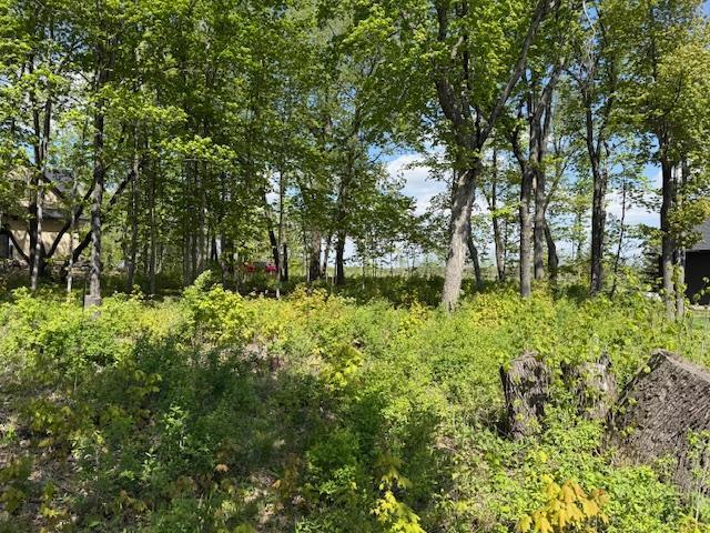 2 Pilgrim Point Alexandria, MN 56308 - Photo 3 of 28