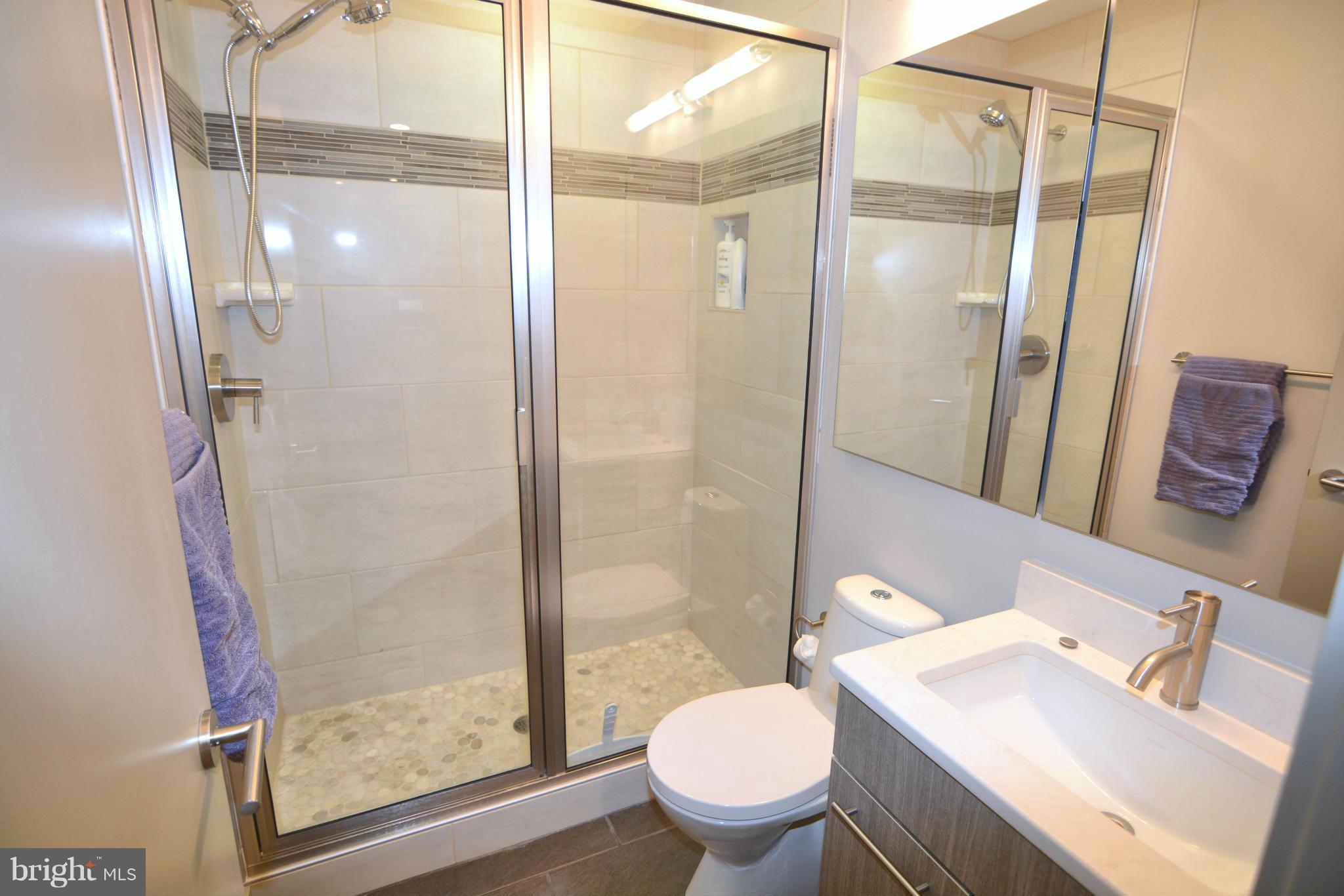 1252 Fenwick Garth Arnold, MD 21012 - Photo 19 of 30 a bathroom with a sink toilet and shower