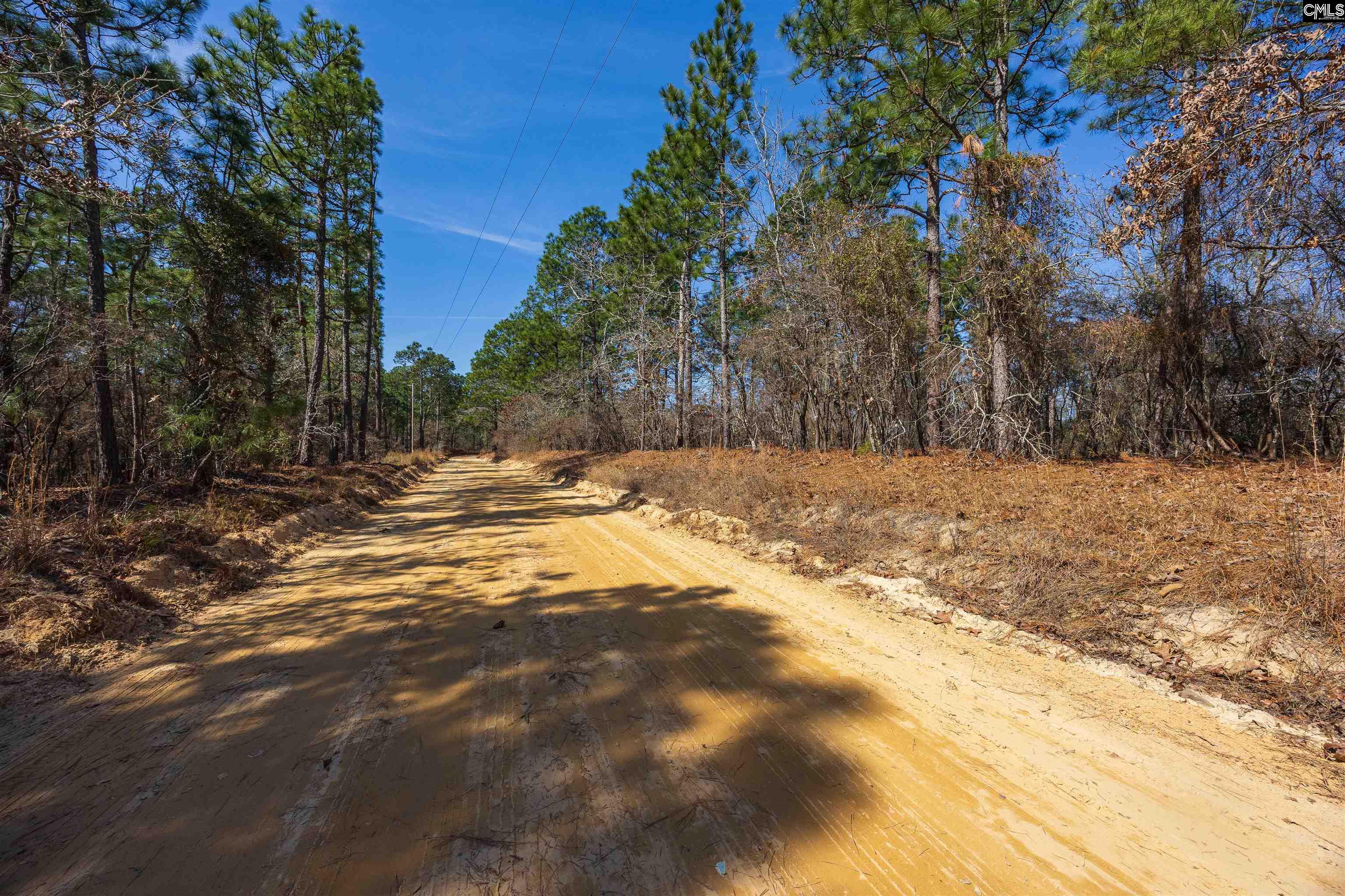 0 Rimrock Road Leesville, SC 29070 - Photo 3 of 11