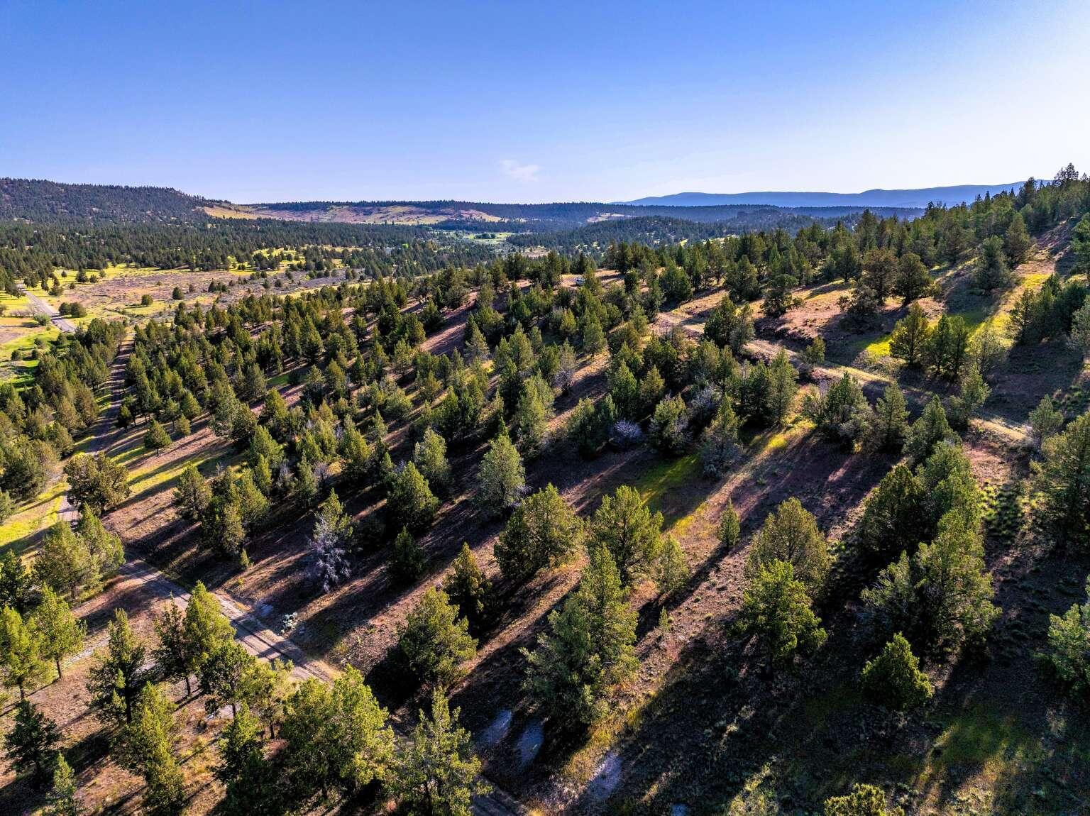 737 Raccoon Lane Alturas, CA 96101 - Photo 13 of 16 Dingman.13
