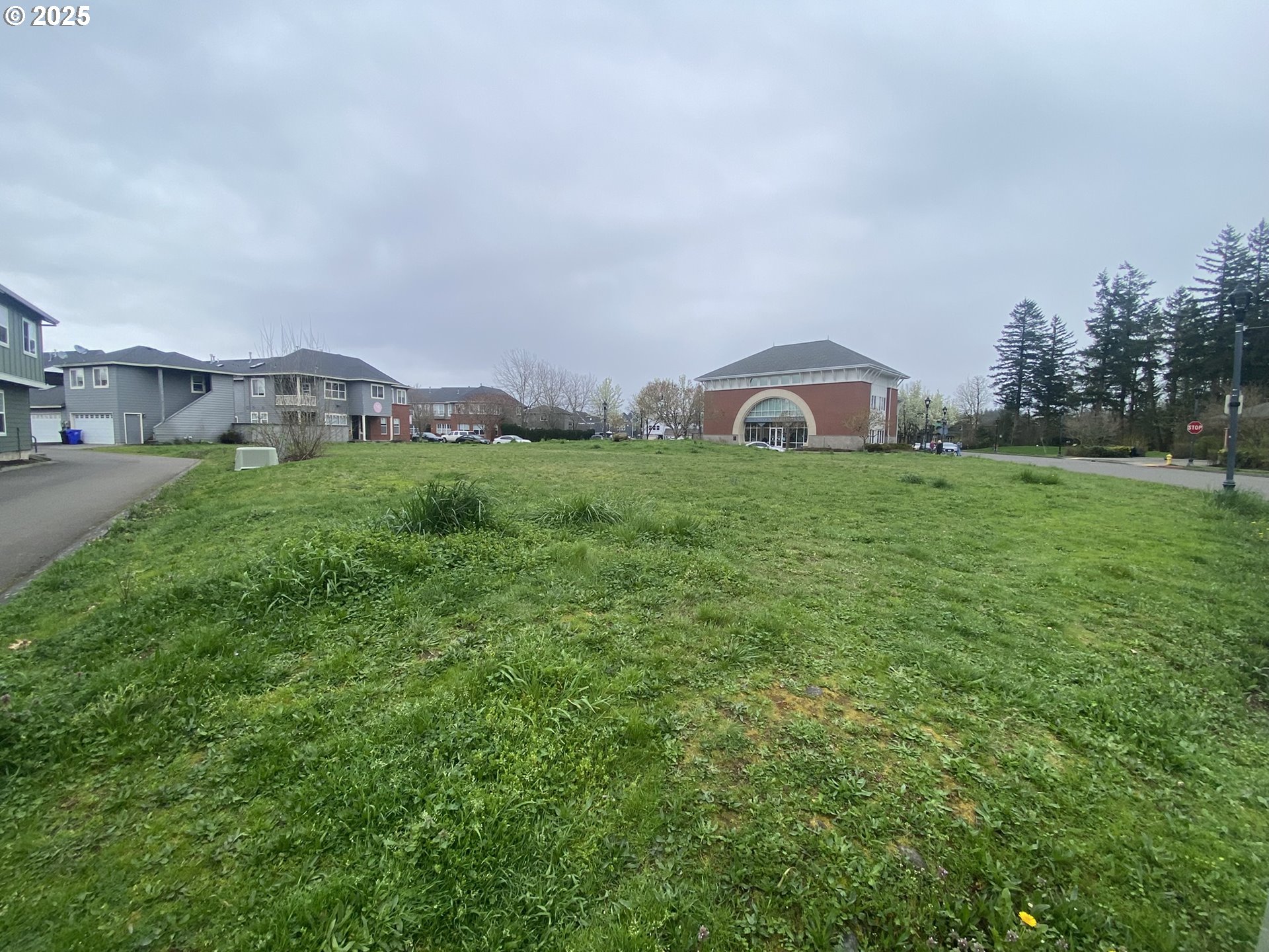 a backyard of a house with lots of green space and mountain view in back