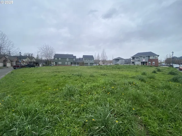 a view of a big yard with a house