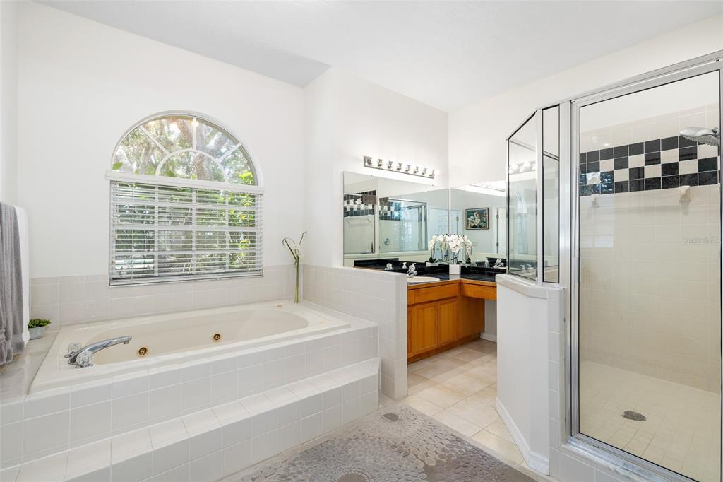2513 Regal River Road Valrico, FL 33596 - Photo 22 of 46 a bathroom with a tub a sink and a large mirror