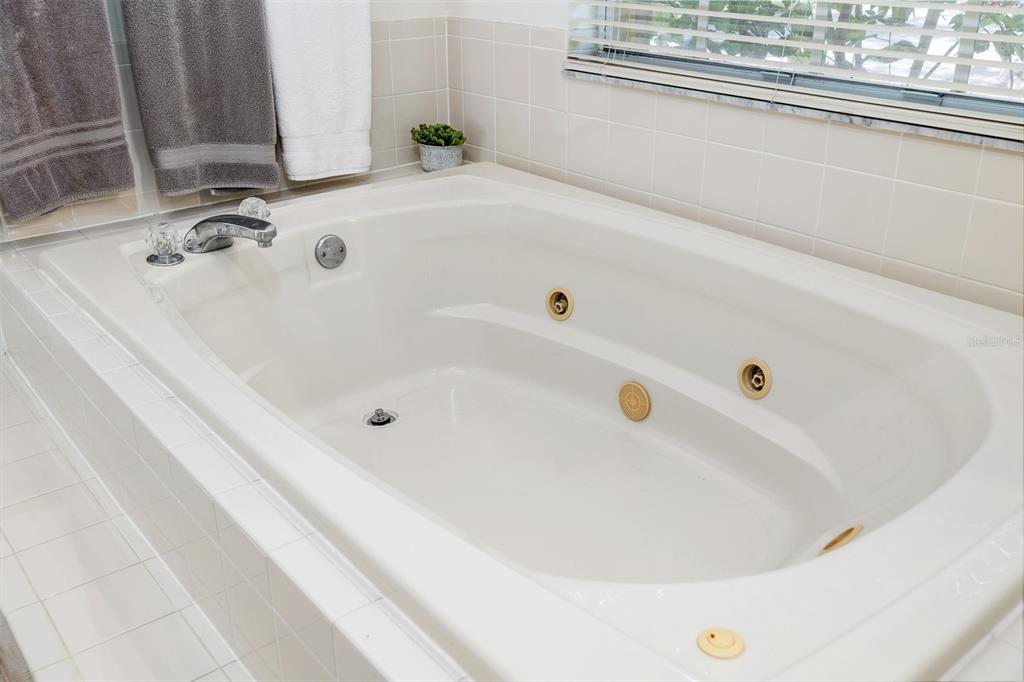 2513 Regal River Road Valrico, FL 33596 - Photo 26 of 46 a bathroom with a tub