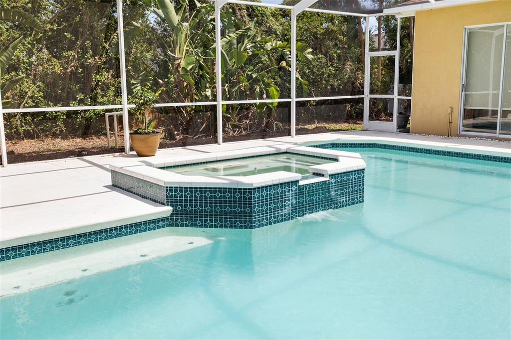 2513 Regal River Road Valrico, FL 33596 - Photo 44 of 46 a view of a swimming pool with a lounge chair