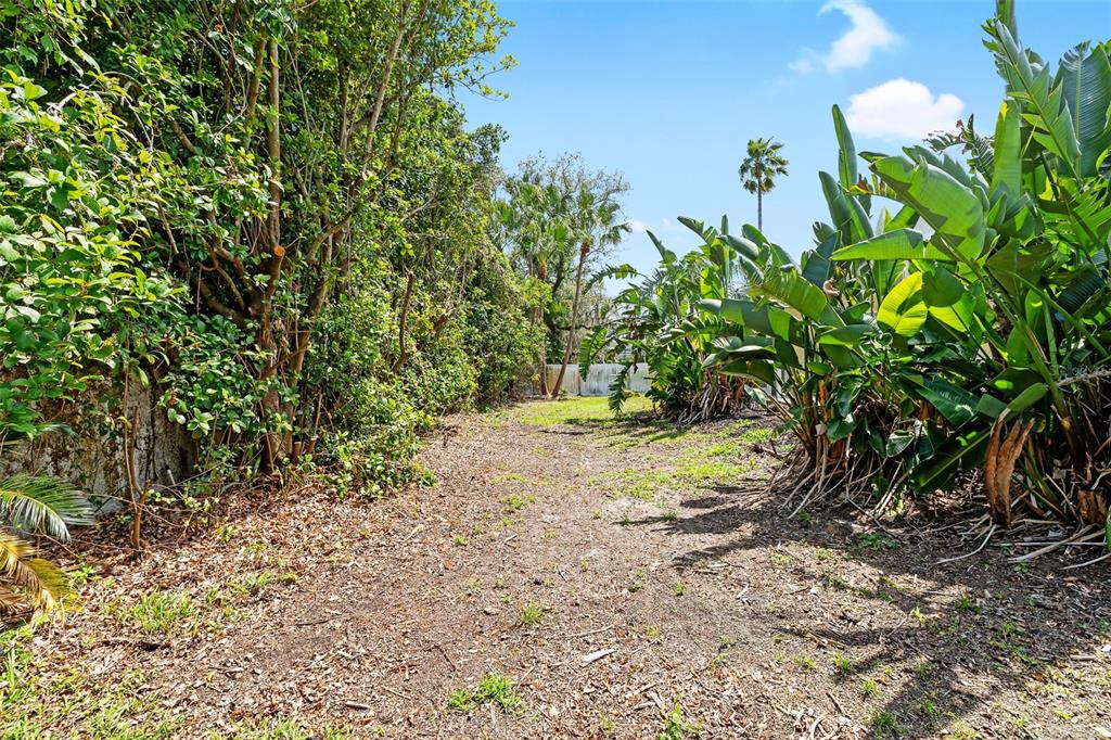 2513 Regal River Road Valrico, FL 33596 - Photo 45 of 46 a view of a yard with plants and trees