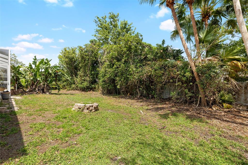 2513 Regal River Road Valrico, FL 33596 - Photo 46 of 46 a backyard of a house with lots of green space