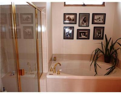 51 Hackamore Road, Unit A Edwards, CO 81632 - Photo 9 of 20 Additional Photo