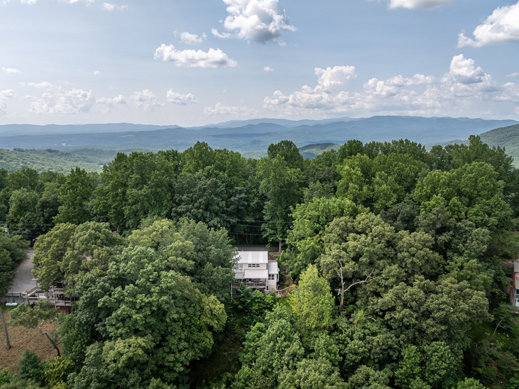 1534 Walnut Ridge Ellijay, GA 30536 - Photo 19 of 61 Gallery Image 19