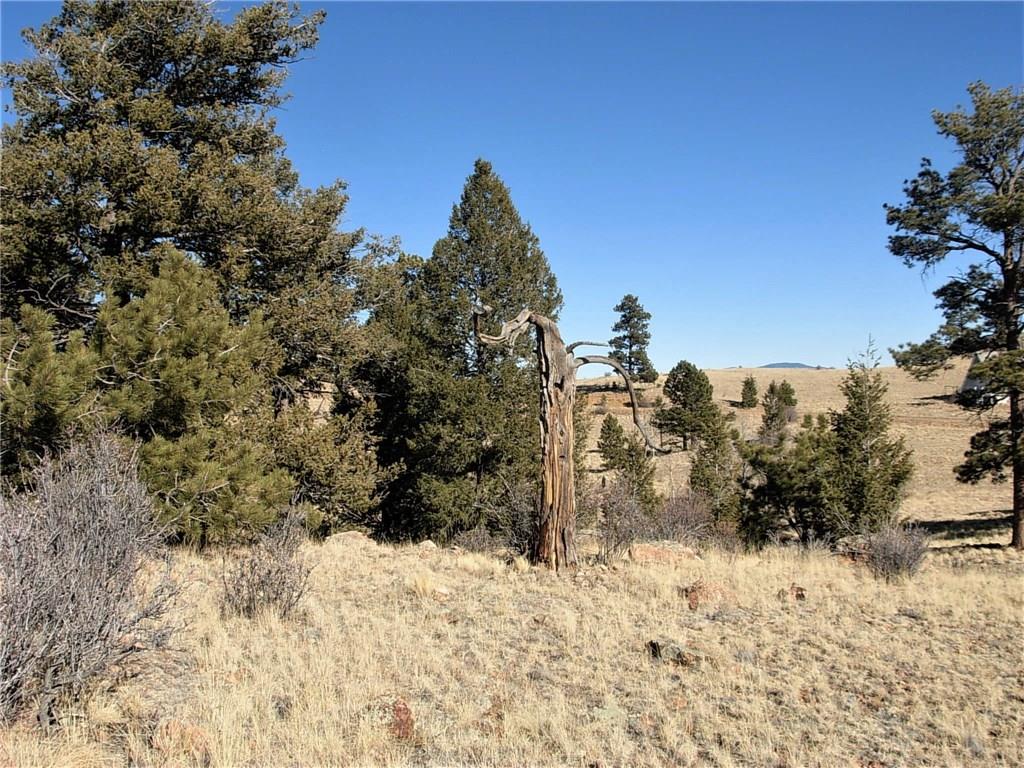 Tbd Chotaw Road Hartsel, CO 80449 - Photo 21 of 25 Gallery Image 21