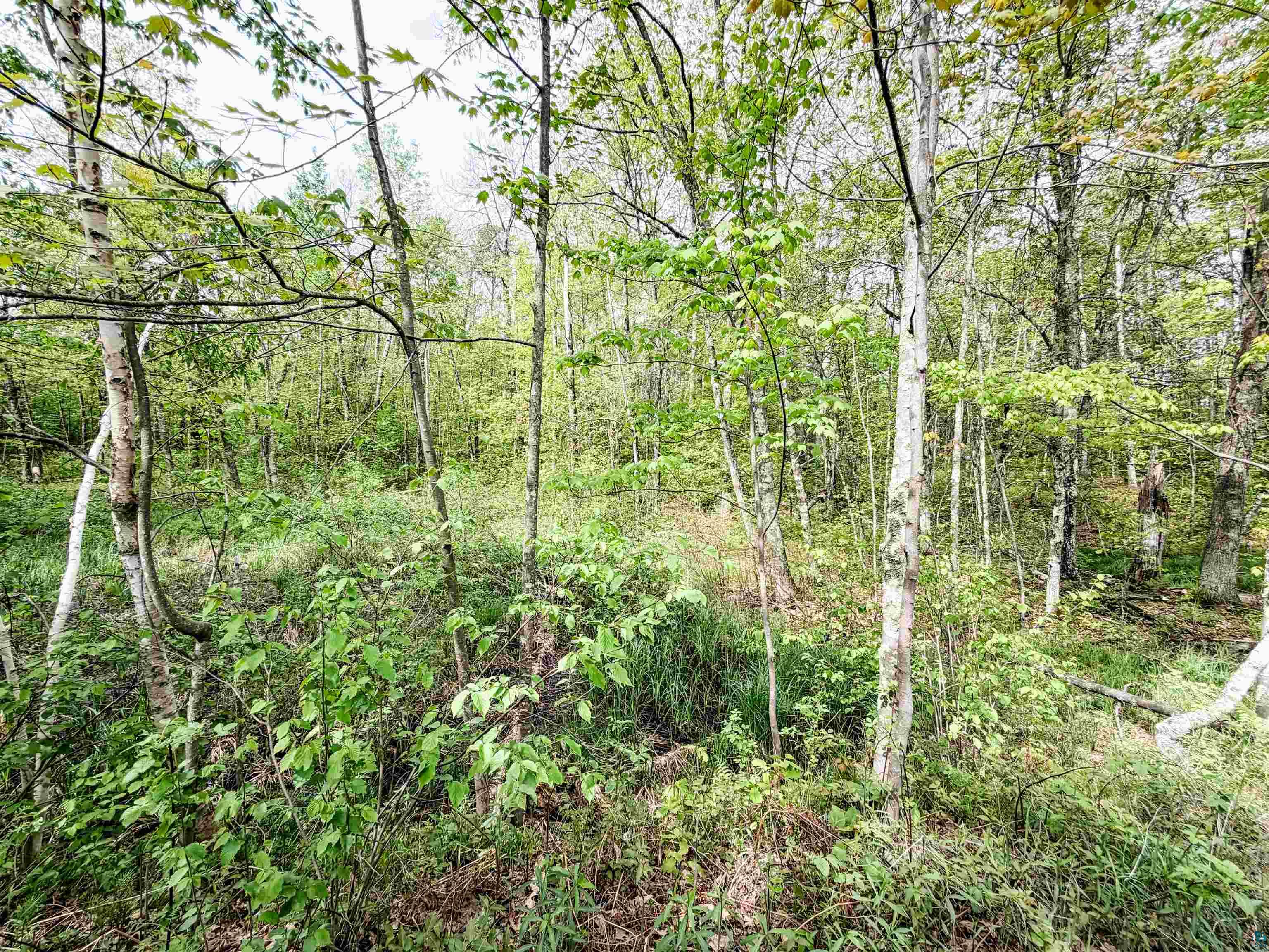 Lot 1 Peterson Road Minong, WI 54859 - Photo 4 of 9