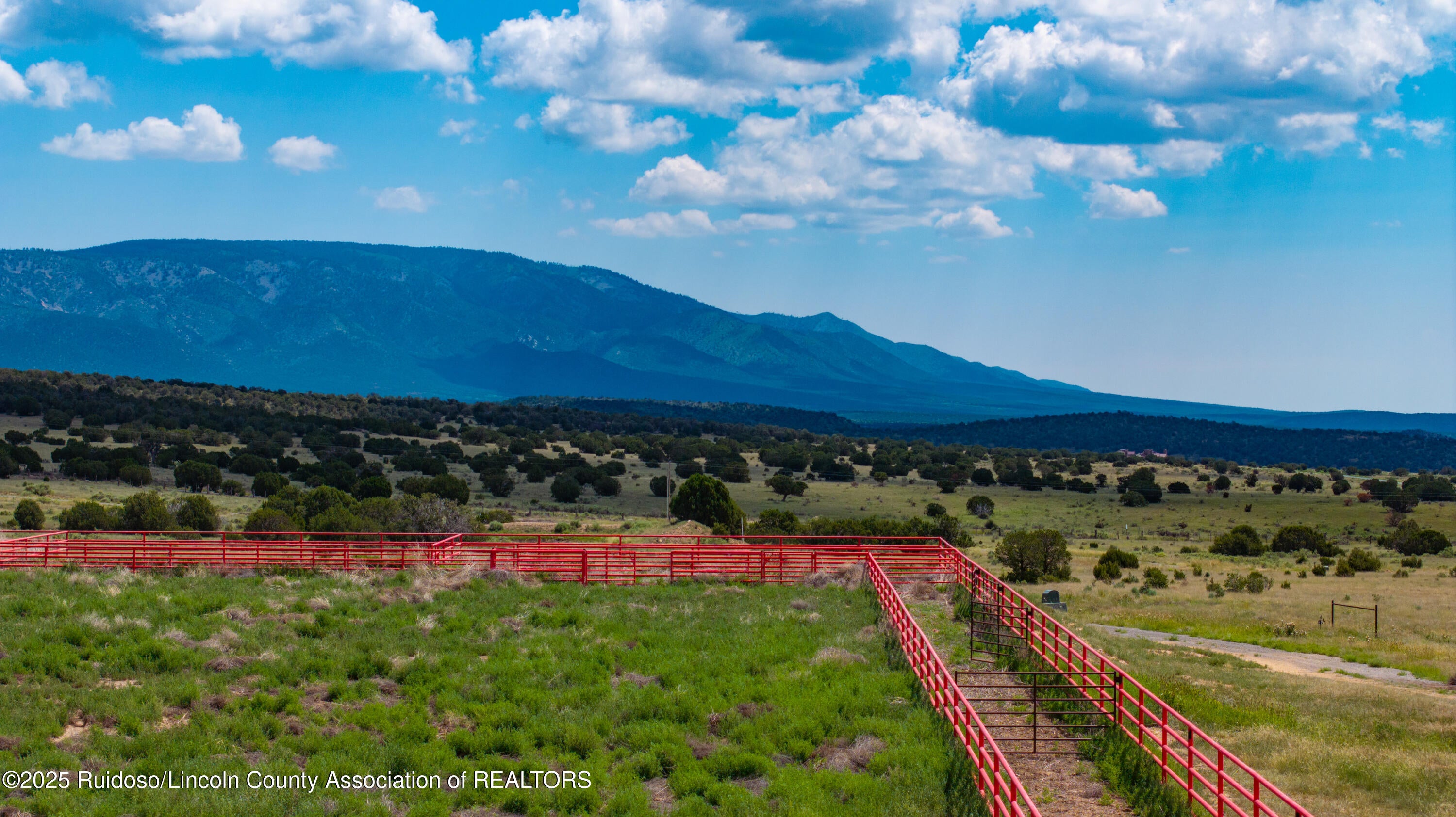331 Pine Lodge Road Capitan, NM 88316 - Photo 137 of 156 Gallery Image 137