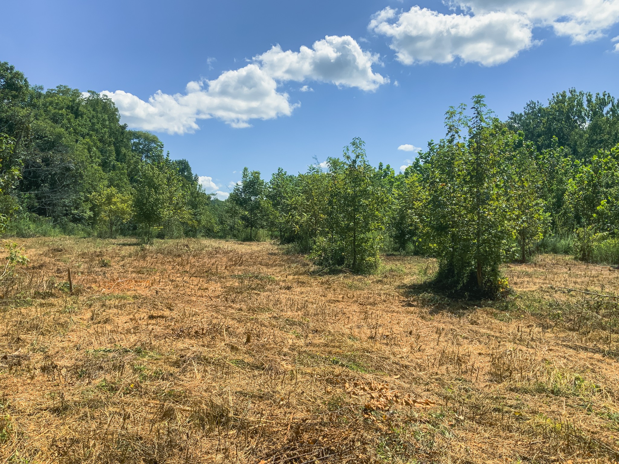 0 Call Road Obion, TN 38240 - Photo 25 of 40 Gallery Image 25