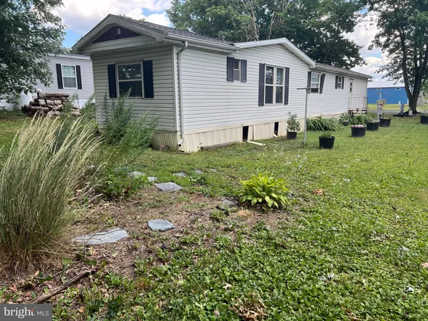 a view of a yard in front of a house with plants and large tree