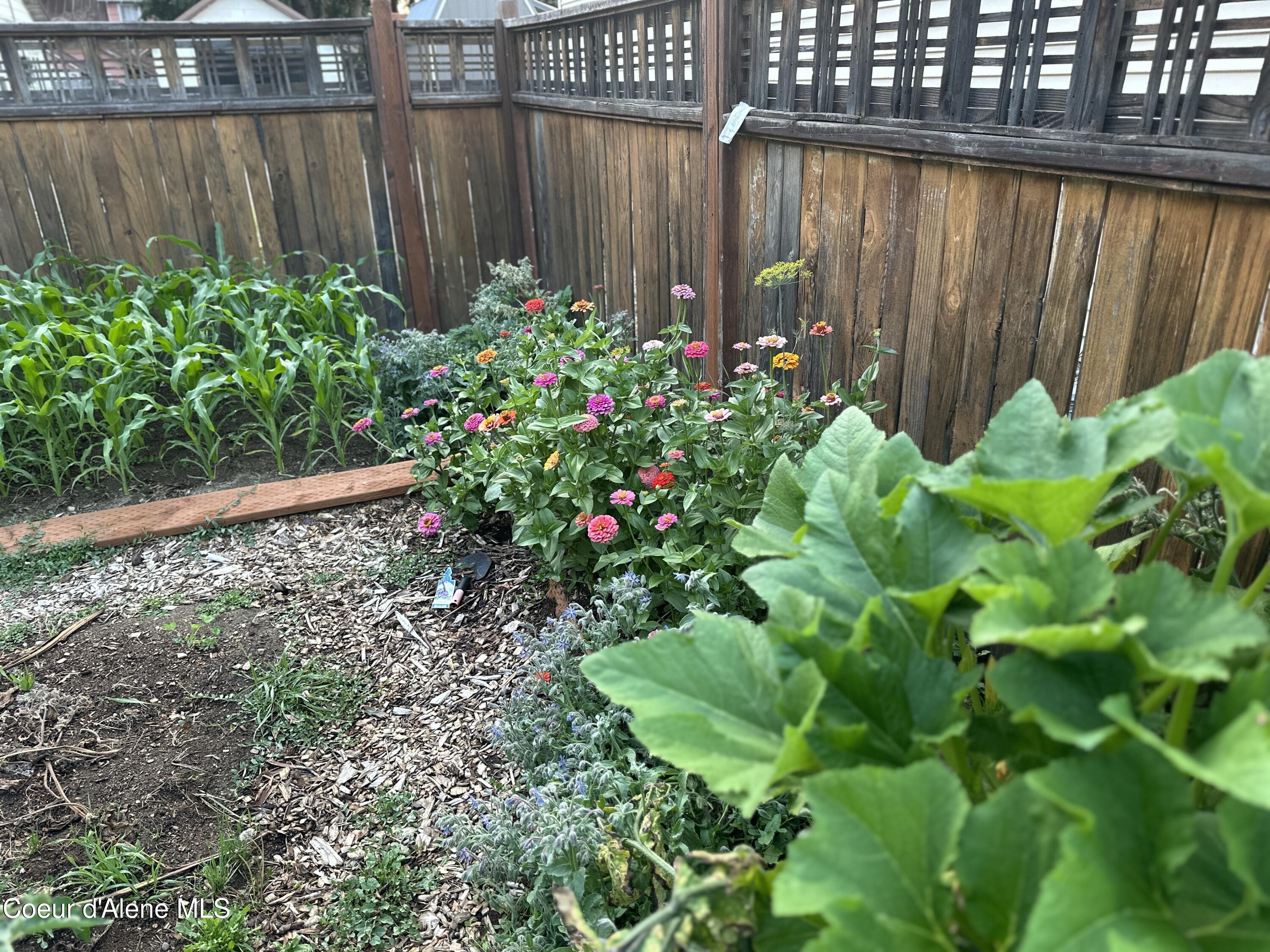 1709 North 7th Street Coeur D'Alene, ID 83814 - Photo 23 of 30 Garden