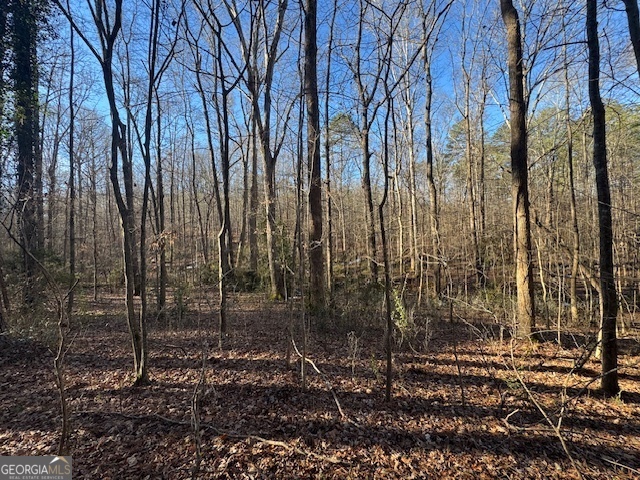 a view of a backyard with large trees