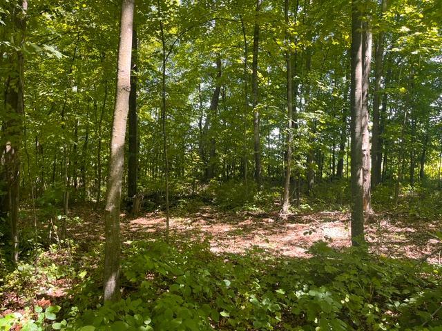 Lot 2 County Road Woodville, WI 54028 - Photo 9 of 15 Gallery Image 9