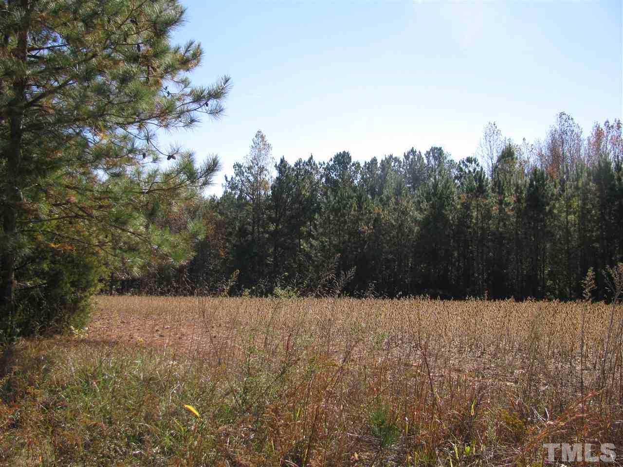 Carroll Town Road Macon, NC 27551 - Photo 6 of 7 Gallery Image 6