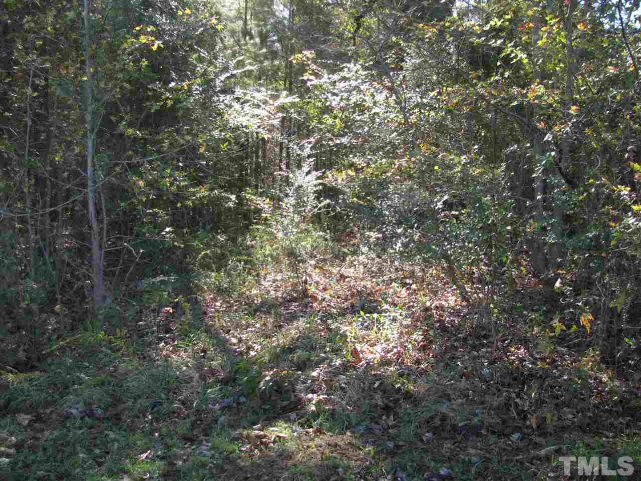 Carroll Town Road Macon, NC 27551 - Photo 7 of 7 Gallery Image 7