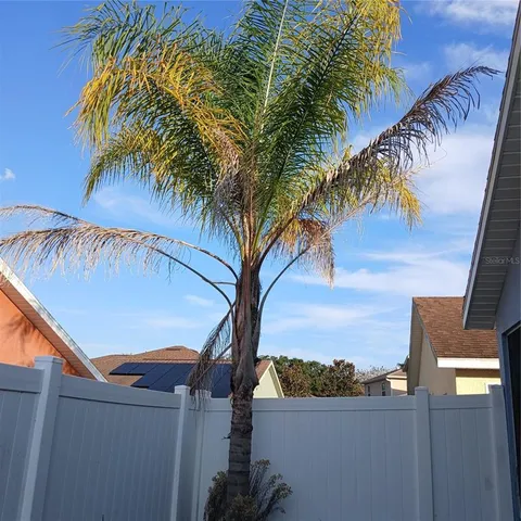 a view of a backyard