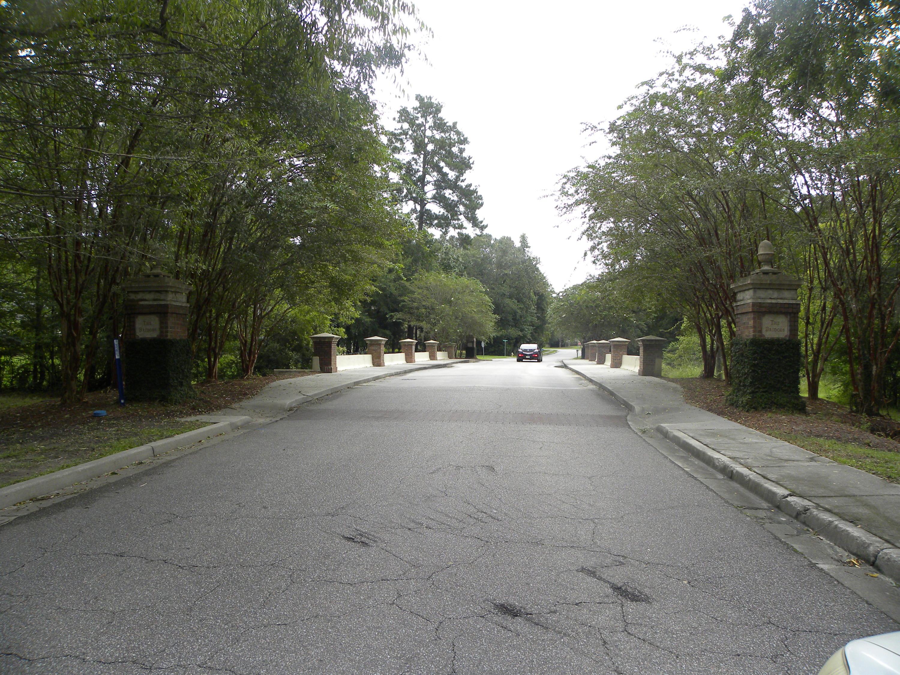 323 Eagle Ridge Road Summerville, SC 29485 - Photo 31 of 43 33