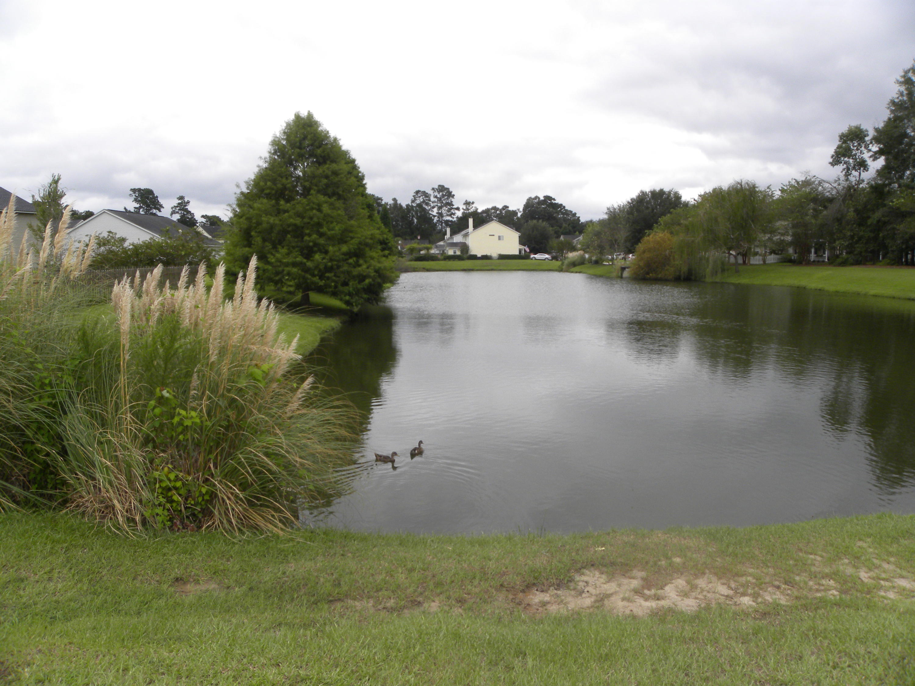 323 Eagle Ridge Road Summerville, SC 29485 - Photo 43 of 43 45
