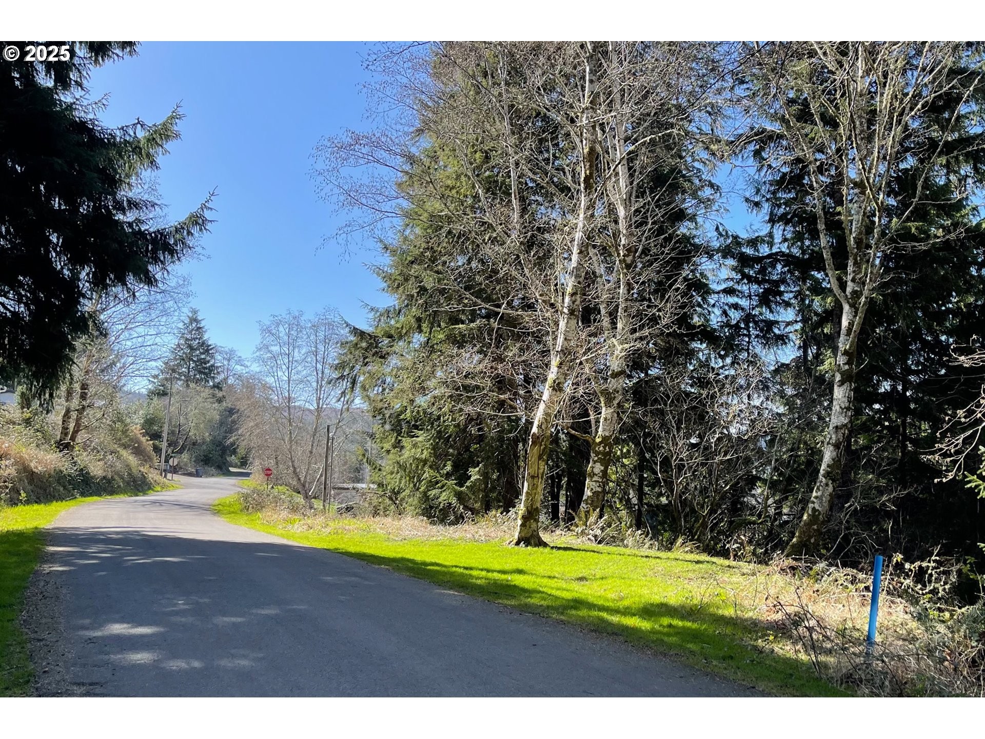 Akin Street, Unit 7300 Wheeler, OR 97147 - Photo 11 of 20 a view of swimming pool