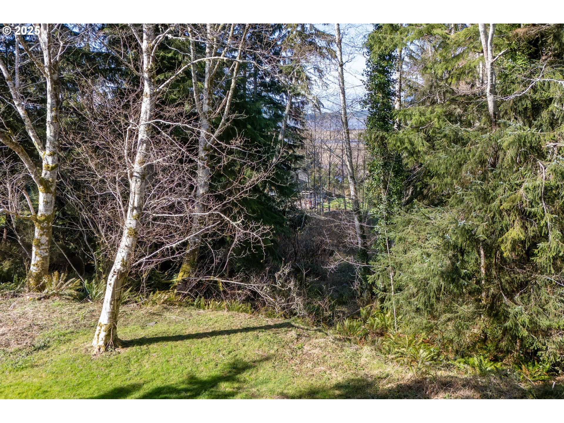 Akin Street, Unit 7300 Wheeler, OR 97147 - Photo 12 of 20 a view of outdoor space with deck and tree