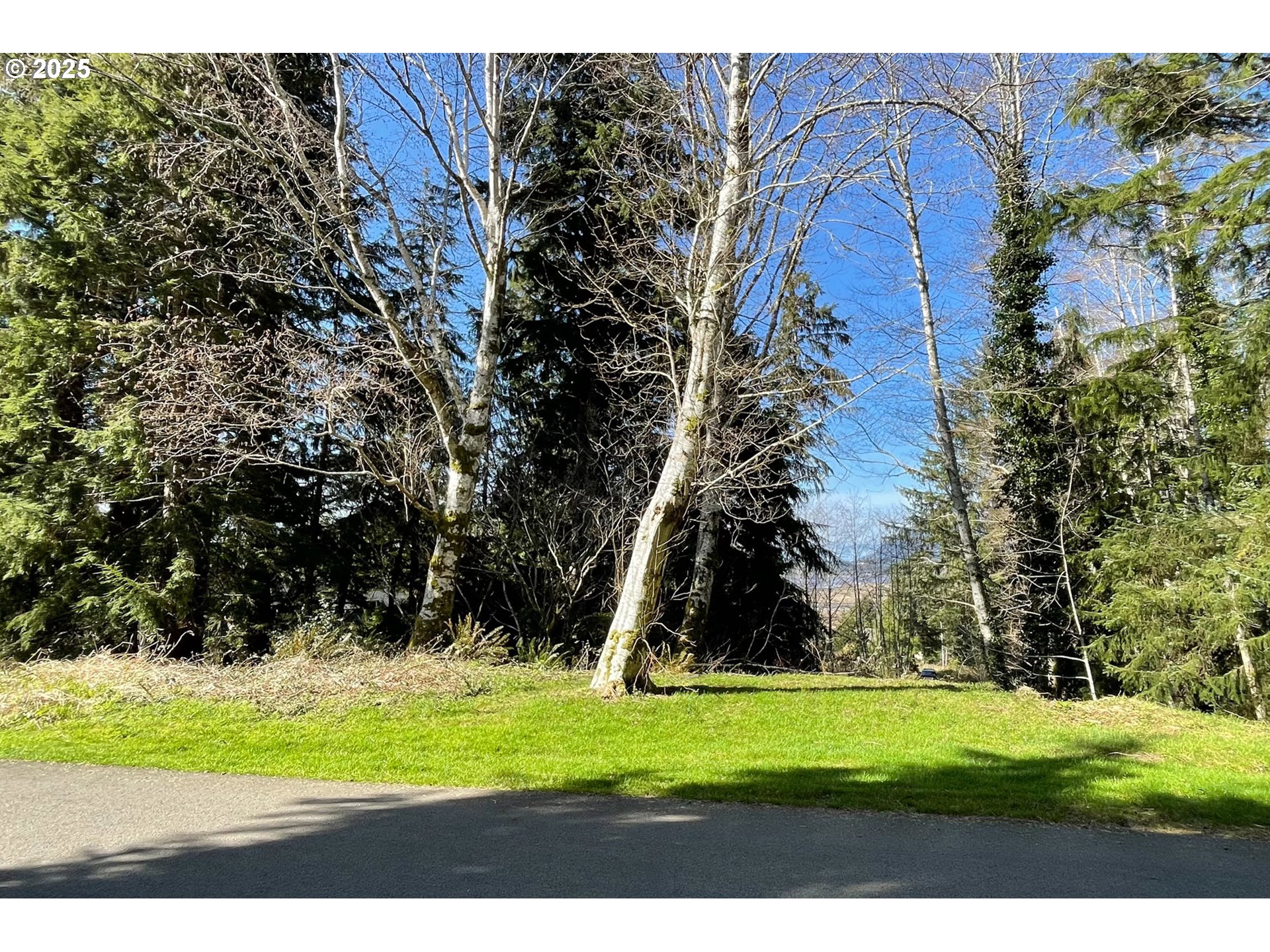 Akin Street, Unit 7300 Wheeler, OR 97147 - Photo 13 of 20 a view of a park