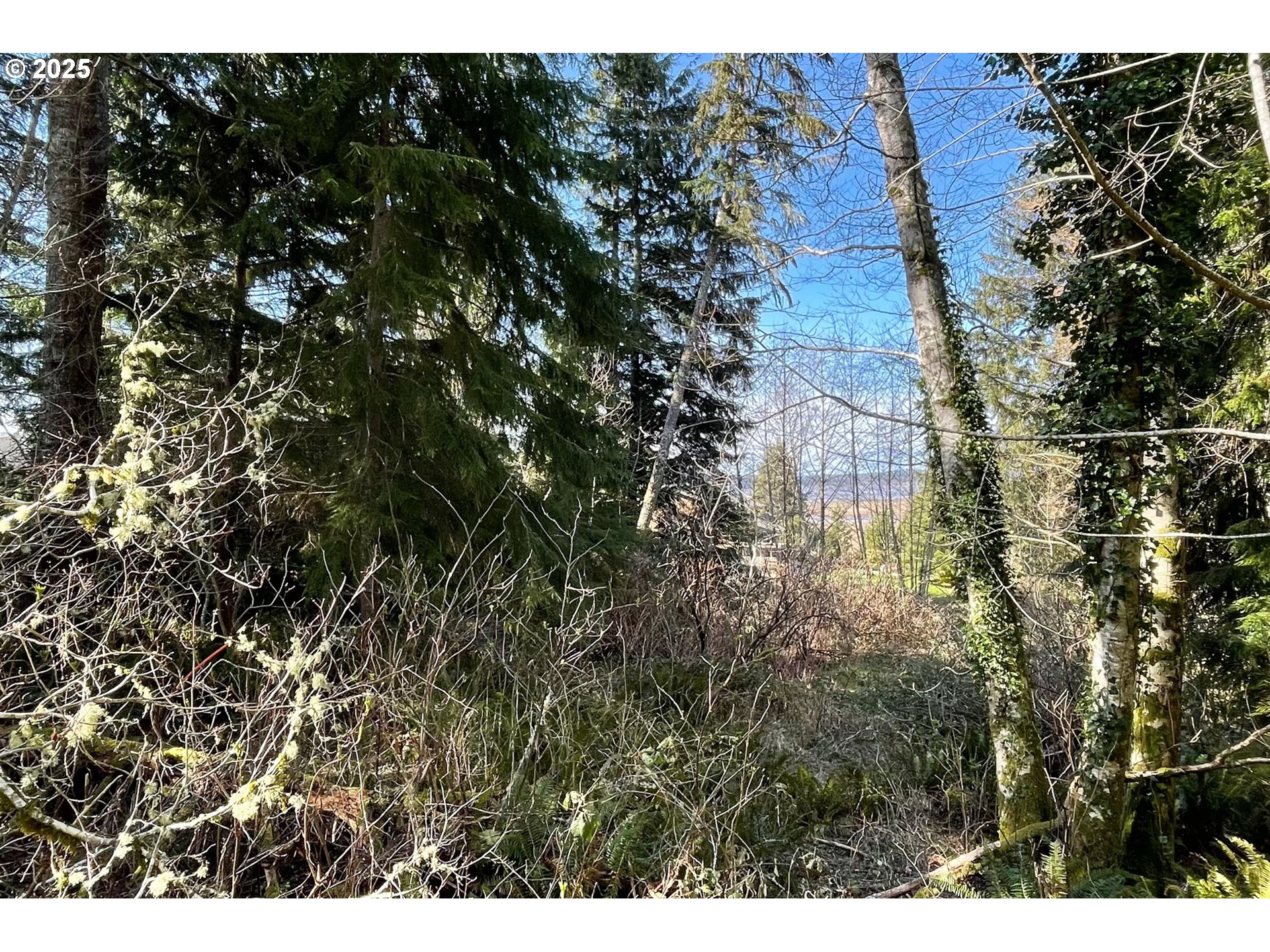 Akin Street, Unit 7300 Wheeler, OR 97147 - Photo 14 of 20 a view of a city