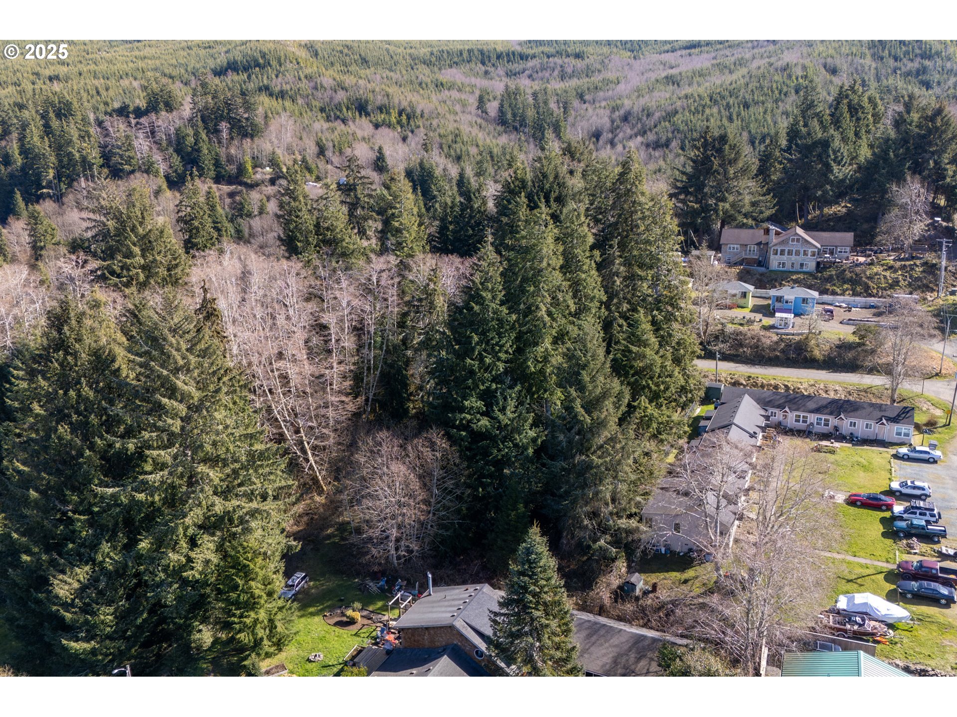 Akin Street, Unit 7300 Wheeler, OR 97147 - Photo 9 of 20 a view of a city with tall trees