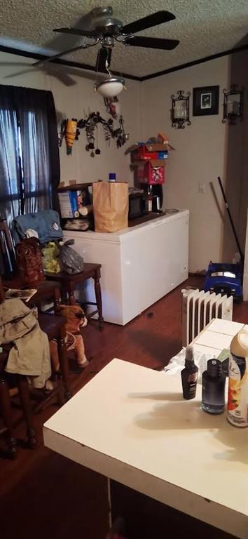 139 Dan Rhyne Road Leslie, GA 31764 - Photo 15 of 19