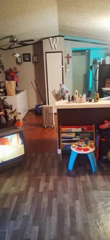 139 Dan Rhyne Road Leslie, GA 31764 - Photo 17 of 19