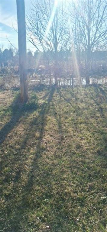 139 Dan Rhyne Road Leslie, GA 31764 - Photo 3 of 19