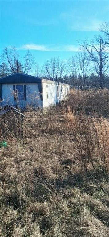 139 Dan Rhyne Road Leslie, GA 31764 - Photo 10 of 19