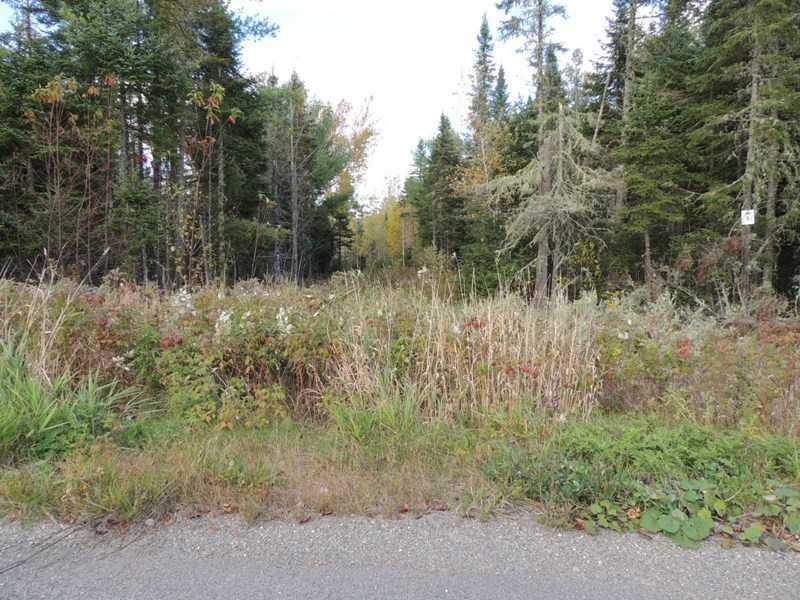 39 Rae Way Hampden, ME 04444 - Photo 19 of 20 Land.