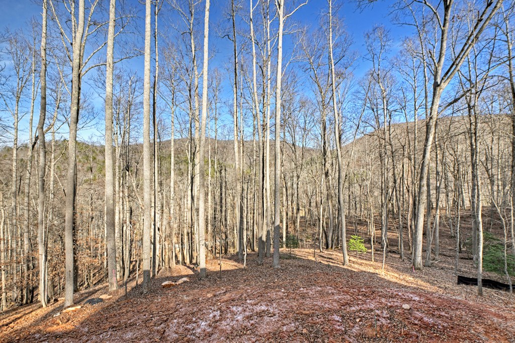 2 Grand Oaks S/d Morganton, GA 30560 - Photo 11 of 30 a view of outdoor space with wooden fence