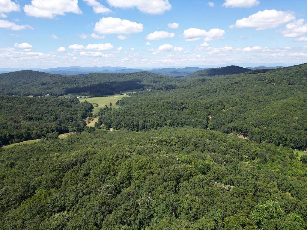 2 Grand Oaks S/d Morganton, GA 30560 - Photo 30 of 30 a view of a green field