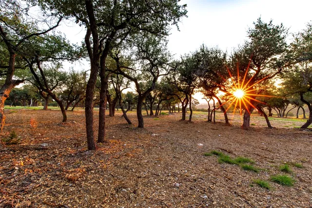 a view of open space with trees