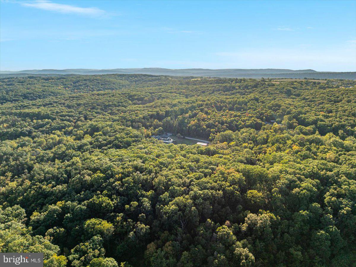 562 Logger Drive Gore, VA 22637 - Photo 63 of 76