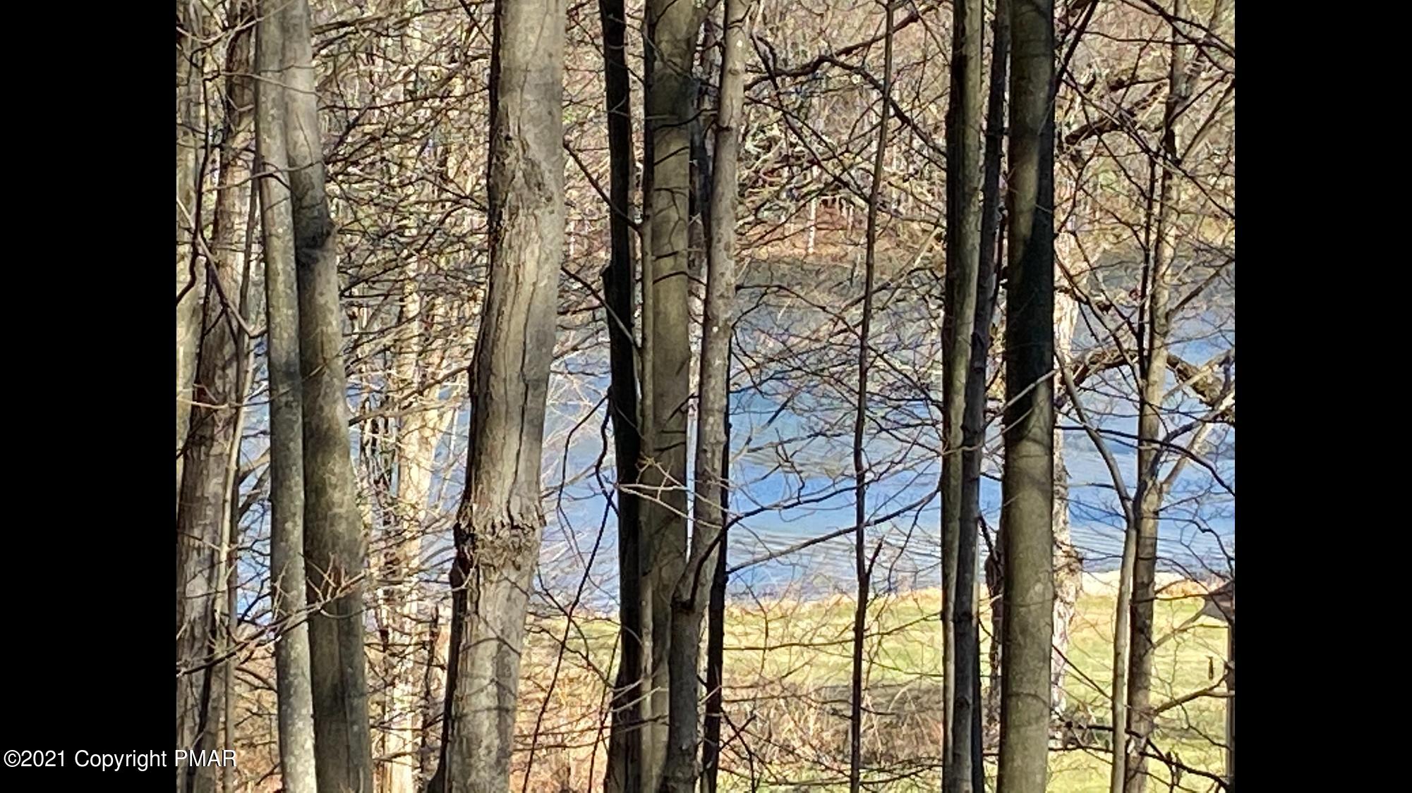 Lot 1 Gilpin Road Newfoundland, PA 18445 - Photo 1 of 3