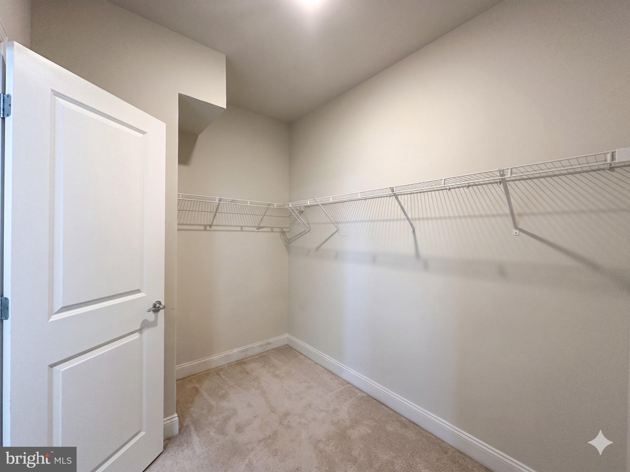 17109 Branched Oak Road Dumfries, VA 22026 - Photo 15 of 24 Spacious closet with ample storage.