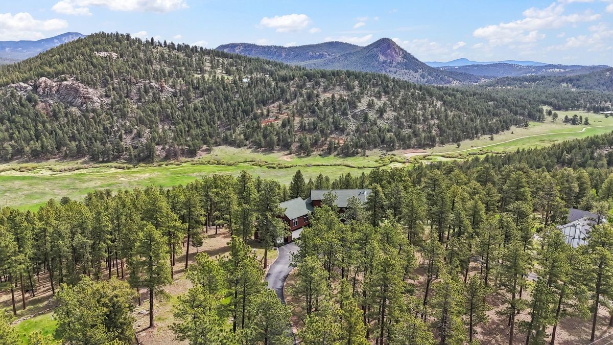 163 Old Corral Road Bailey, CO 80421 - Photo 46 of 50