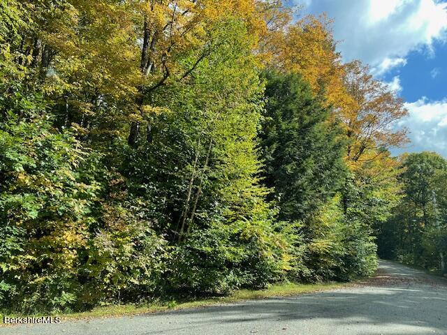 40 Bliven Road Otis, MA 01253 - Photo 2 of 12 a view of a yard