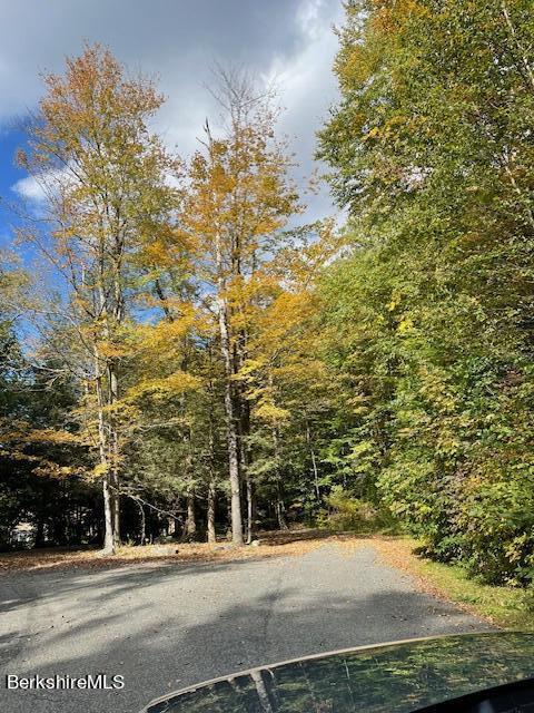 40 Bliven Road Otis, MA 01253 - Photo 4 of 12 a backyard of a house with lots of green space