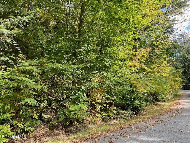 40 Bliven Road Otis, MA 01253 - Photo 7 of 12 a view of a yard