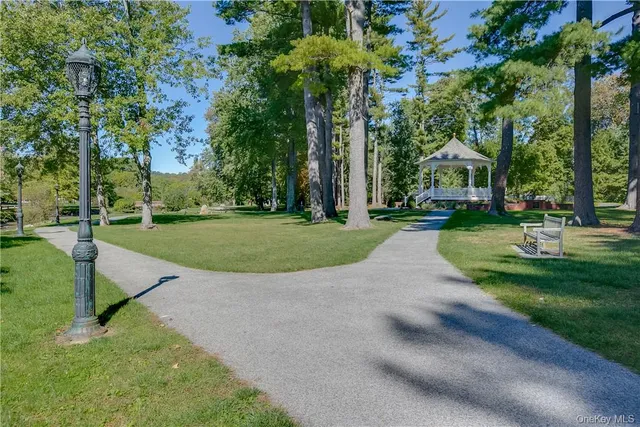 a view of a park with large trees